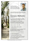 Hermann Wallmüller