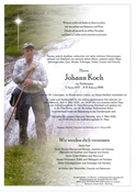 Johann Koch
