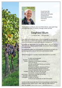 Siegfried Blum