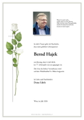 Bernd Hajek