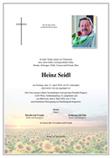 Heinz Seidl