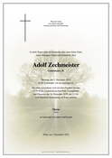 Adolf Zechmeister